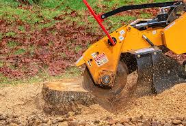 Best Stump Grinding and Removal  in Belleville, MI